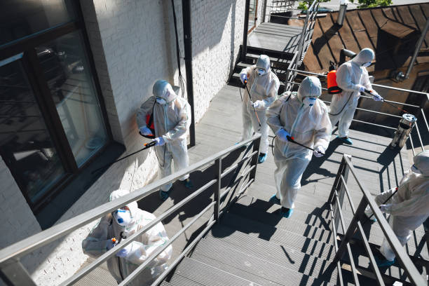 Best Basement Mold Removal  in Pueblo, CO