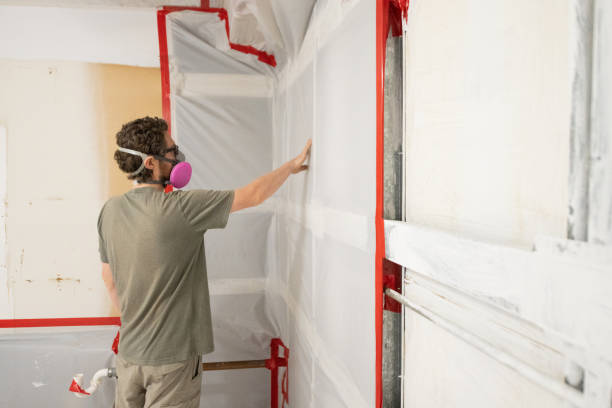 Best Forensic Mold Investigation  in Pueblo, CO