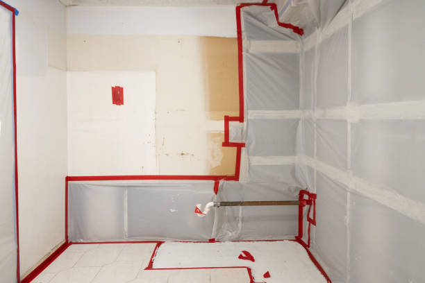 Best Forensic Mold Investigation  in Pueblo, CO