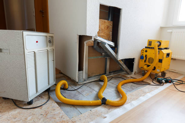 Dehumidification Services in Pueblo, CO