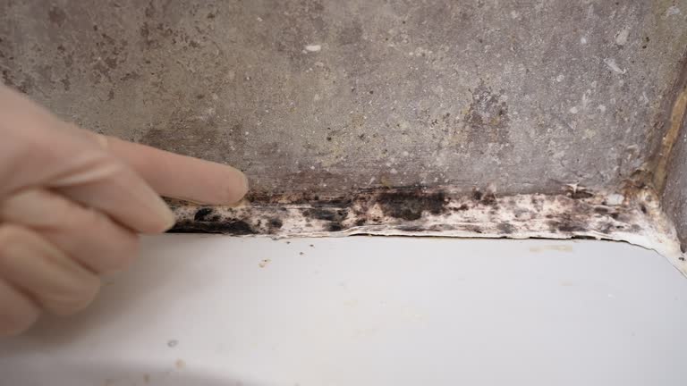 Best Residential Mold Inspection & Testing  in Pueblo, CO